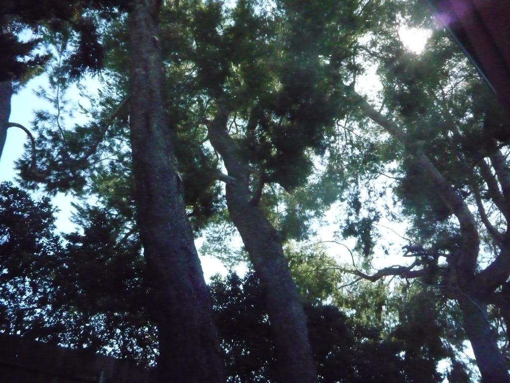 Pensión Woodland Hills Calabasas Guesthouses 3*