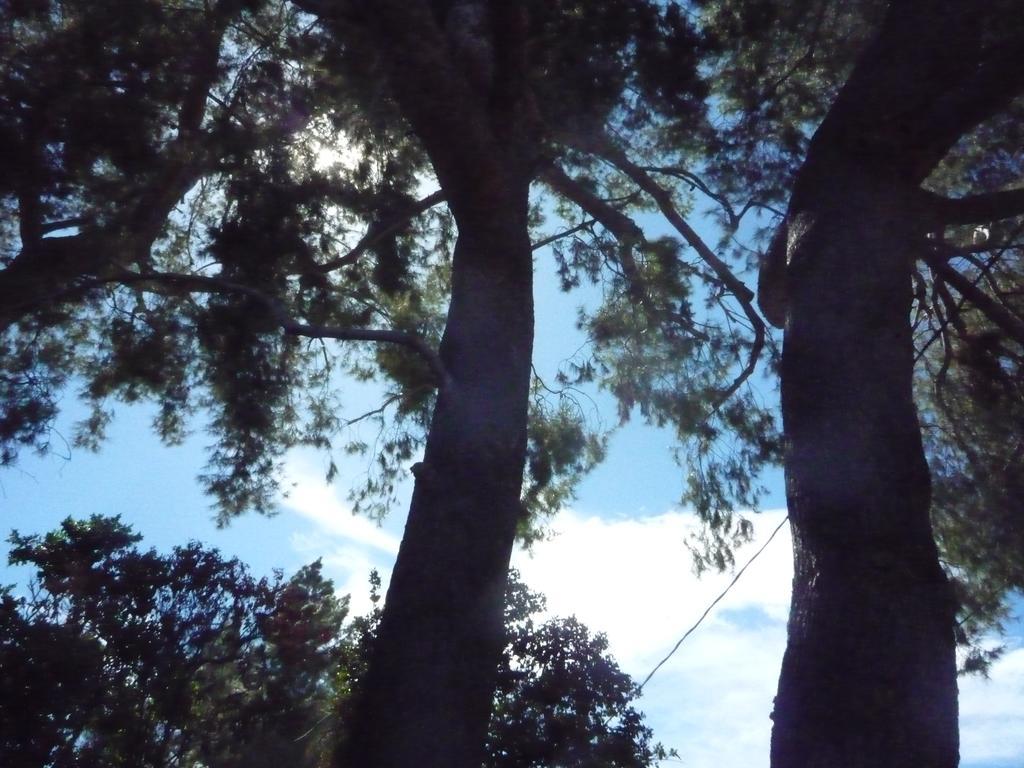 Pensión Woodland Hills Calabasas Guesthouses